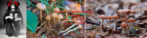 синтетический гашиш Дмитриев