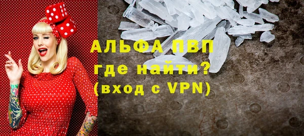 стафф Дмитров