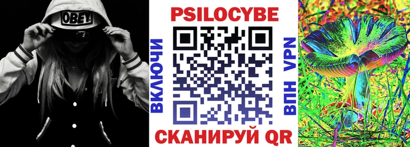 Купить закладки  Нерехта  Галлюциногенные грибы Psilocybine cubensis 