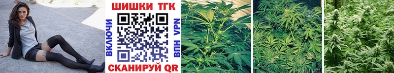 Купить где  Нерехта  Шишки марихуана OG Kush 